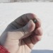 Части от метеорита са намерени до езерото Чебаркул