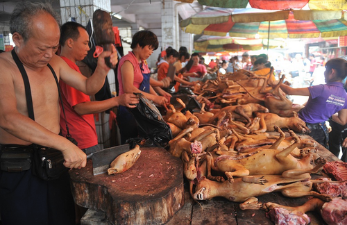 Dog-meat-festival-in-Yulin-China1