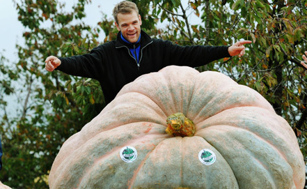 Фермер от Швейцария отгледа тиква с тегло 768.5 кг