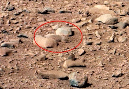 На официална снимка от Марс откриха животно (видео)