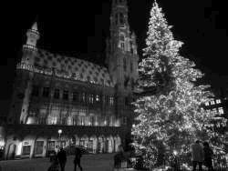 В Брюксел забраниха коледната елха на площада