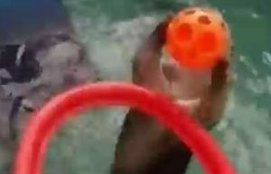 Морска видра лекува артрита си като играе баскетбол (видео)