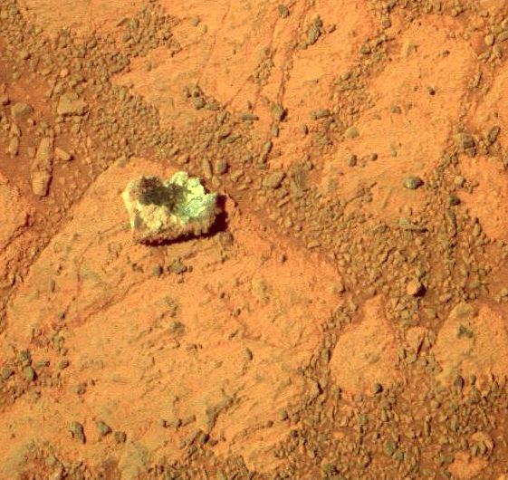 НАСА на съд заради марсианска „гъба“