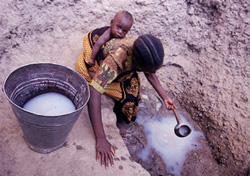 ООН: 1400 деца по света умират всеки ден заради липсата на  питейна вода