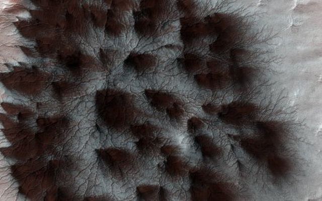 НАСА публикува потресаваща снимка от Марс