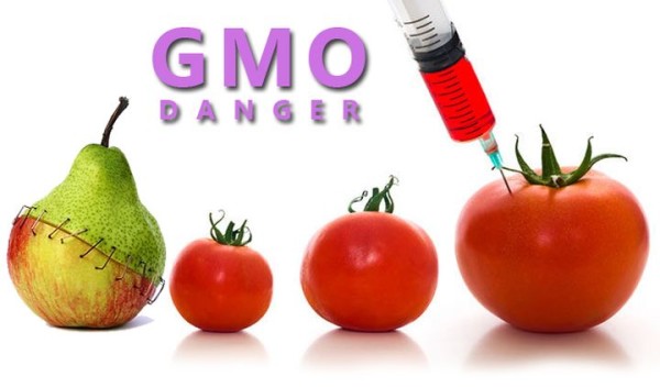 ЕС отстъпи пред САЩ за ГМО