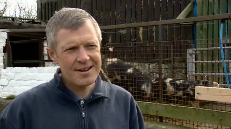 Британски политик даде интервю на фона на съвокупляващи се свине (видео)