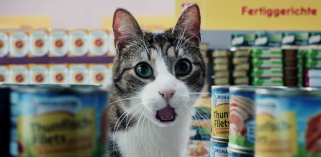 Реклама с котки в супермаркет счупи всички рекорди! (видео)