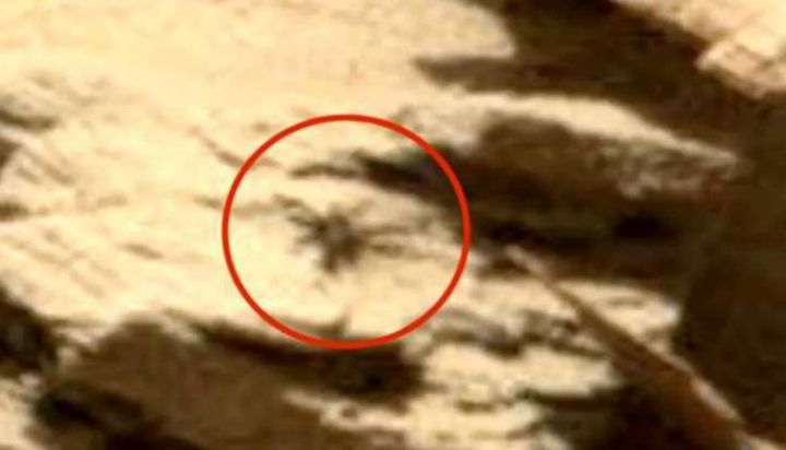 Огромен  паяк е открит на Марс (видео)