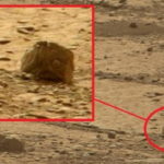 Каменна глава с око и зъбата уста е намерена на Марс
